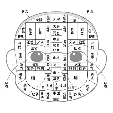 面相診断|観相学の意味とは？良い顔・悪人顔の特徴は？男性・。